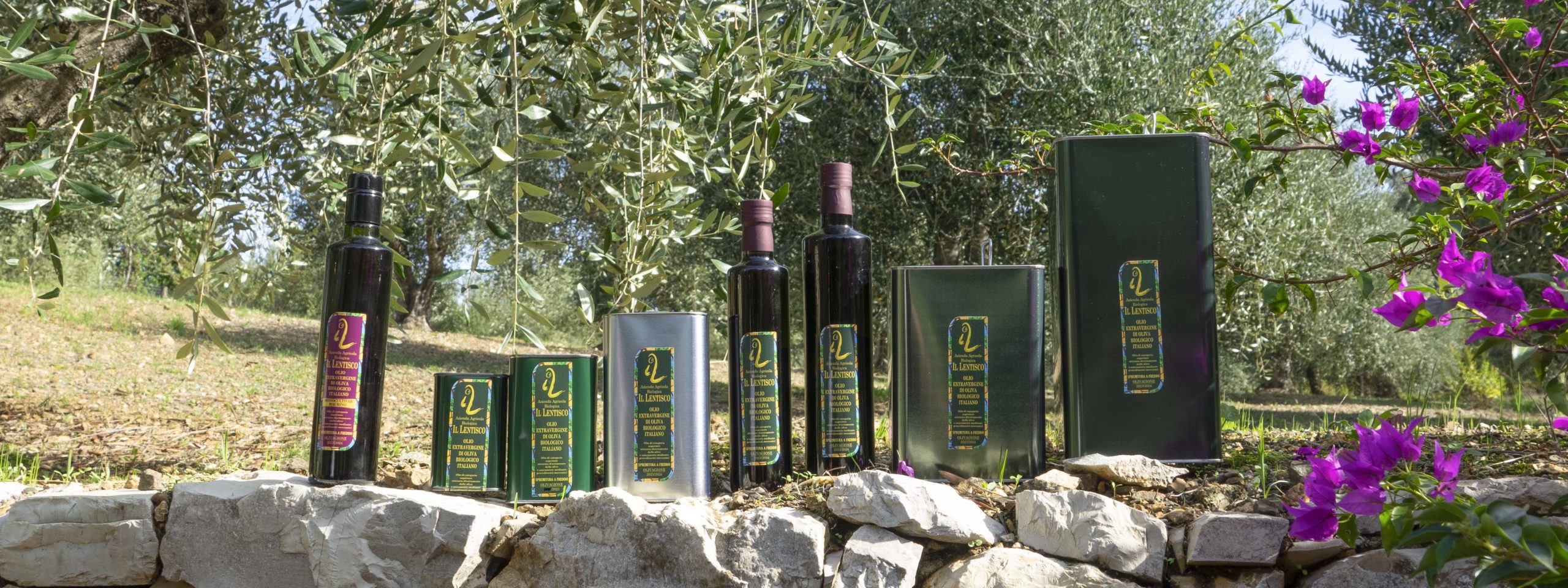 Olio Extravergine di Oliva Bio